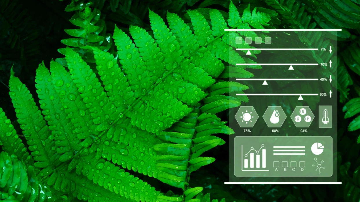 How Companies Are Tracking Sustainability to Stay Ahead