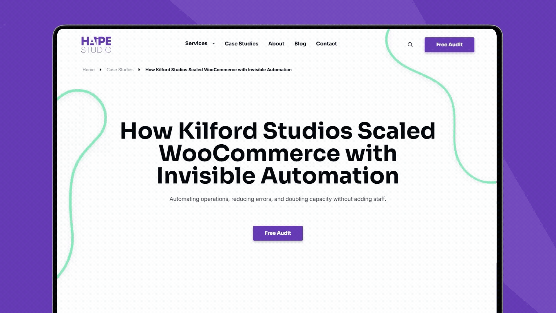 Haipe Studio project results